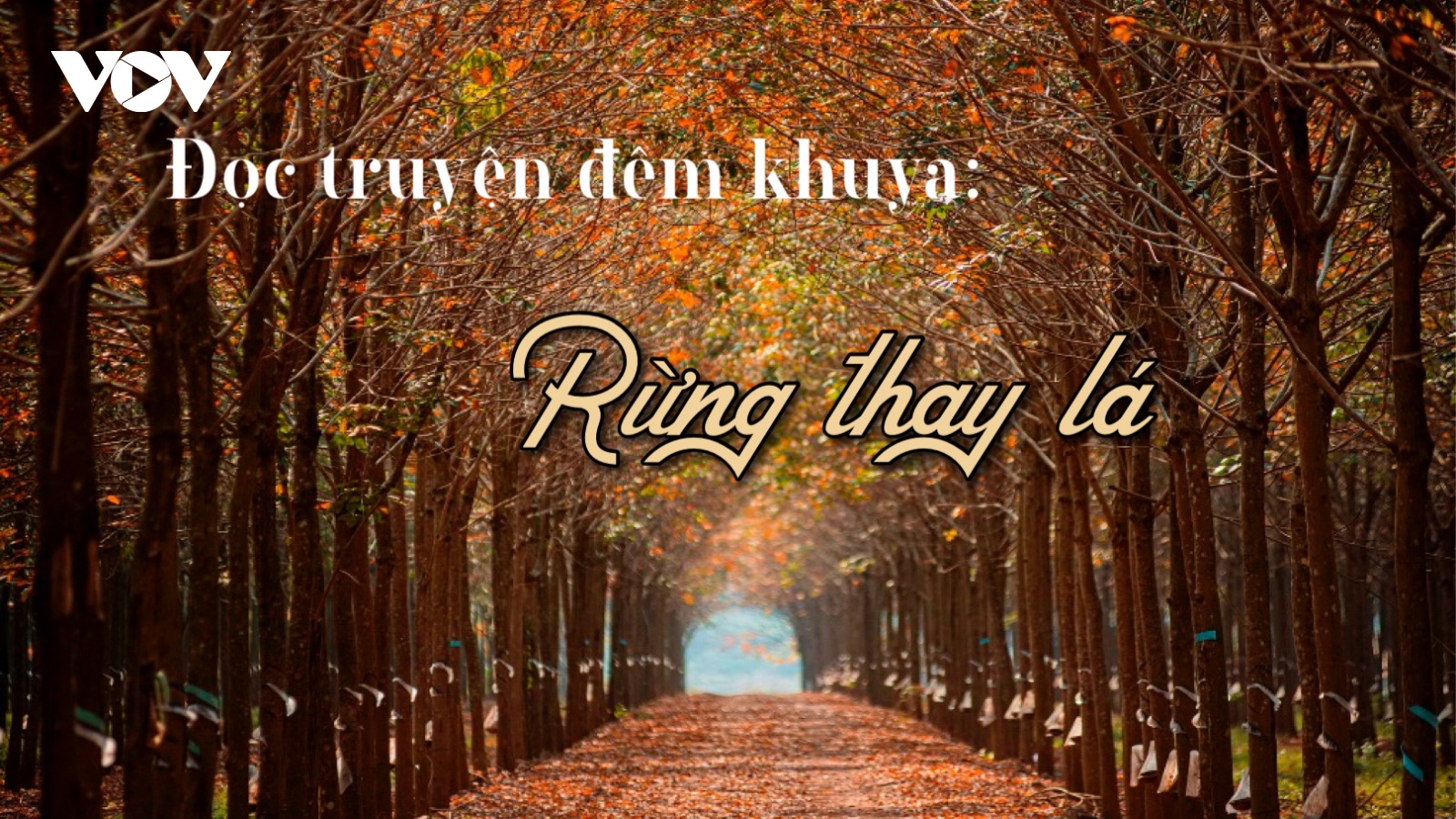 Truyện ngắn "Rừng thay lá"